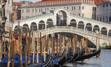 Gondolas in front of the Rialto Bridge on the Grand Canal, Rialto, Venice, Veneto, Italy