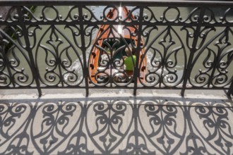 Wrought iron grid on a bridge, Venice