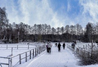 Athletes in winter in the midst of fields and fields in Berlin Lübars, Reinickendorf District,