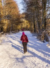 Fresh snow in the city, hikers in winter in the middle of the fields in Berlin Lübars, a district