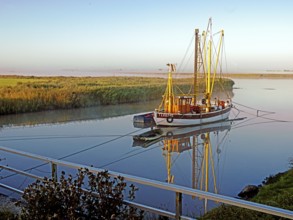 Emsfischereiboot, cutter, Diana, river, Ems, dammed up, flood, morning light, Terborg, East Frisia,