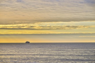 A Hurtigrute ship on the wide Barents Sea at sunset midnight sun, yellowish clouds and calm seas,