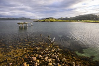 Ruins of a wooden walkway in a calm lake off a wooded island, Veidnes, Kongsfjord, Finnmark, Norway