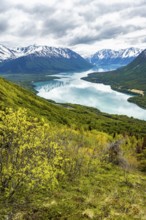 View of snowy mountains and turquoise lake Kenai Lake, Slaughter Ridge Trail, Cooper Landing, Kenai