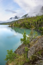 On the shores of turquoise Kenai Lake, Cooper Landing, Kenai Peninsula, Alaska, USA