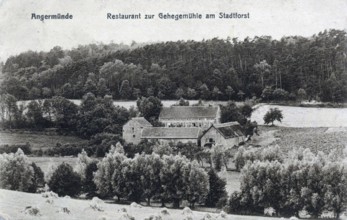 Angermünde, restaurant am Stadtforst, district of Uckermark in the state of Brandenburg, Germany,