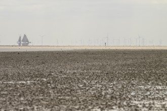 A sailing ship sails in the distance, while wind turbines in the quiet coastal landscape can be
