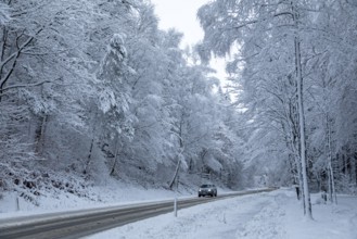 Car driving through snowy landscape, trees, winter, snow, Sieversen, Samtgemeinde Rosengarten,
