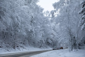 Cars driving through snowy landscape, trees, winter, snow, Sieversen, Samtgemeinde Rosengarten,