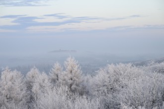 Snowy range of hills with frosty trees in the morning light, Hermannsweg an der Steinegge, Dissen