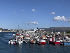 Several fishing boats in Batsfjord harbour, blue sky, mountains in the background, sunny day,