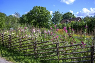 A picturesque garden with flowers and a rural house in the background, the colorful cottage garden