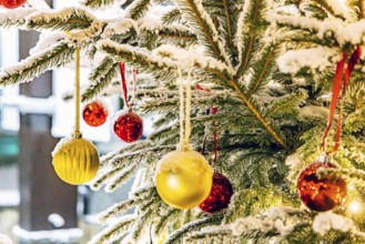 Christmas tree in the snow. The decorative glass balls are covered with hoarfrost. Westerheim,