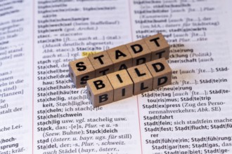 Possible unword of the year? Show wooden cubes on a duden show the word CITYSCAPE