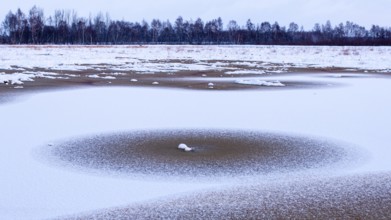 Peat cut in sod in a wintry moor, Goldenstedt, Lower Saxony