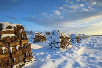 Peat cut in sod in a wintry moor, Goldenstedt, Lower Saxony, Germany