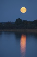 Rising full moon on the shores of Schaalsee, Zarrentin, Mecklenburg-Western Pomerania, Germany