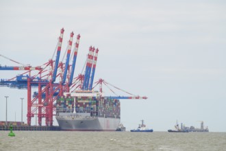 The container ship OOCL Germany with 59 m width and 400 m length of one of the largest container