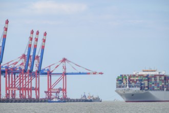 The container ship OOCL Germany with 59 m width and 400 m length of one of the largest container
