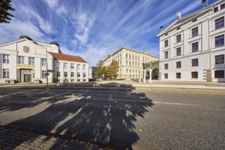 State Archive, University, State Chancellery, historic buildings, sidewalk, street, trees, shade of