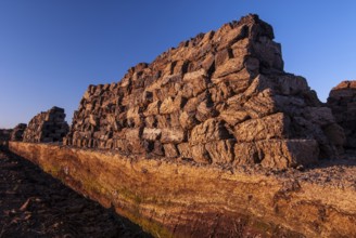 Peat in winter moor, Goldenstedt, Lower Saxony, Germany