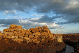 Peat mining in Goldenstedter Moor, Goldenstedt, Lower Saxony, Germany