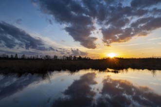 Sunset in Rehdener Geestmoor, Rehden, Lower Saxony, Germany
