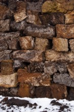 Peat in winter moor, Goldenstedt, Lower Saxony, Germany