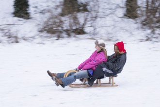 Snowfall, impressions from the Tiergarten, Berlin, 03.01.2026