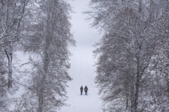Walkers walk through the snow-covered Tiergarten in Berlin on 03.01.2026