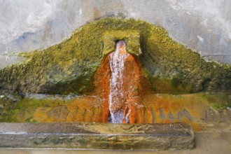 Rust-brown water flows from a spring in a concrete wall surrounded by eroded mineral deposits,