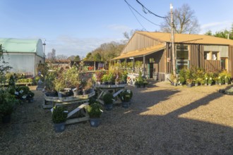 Swann's nursery garden centre, Bromeswell, Woodbridge, Suffolk, England, UK 30 Dec 2025