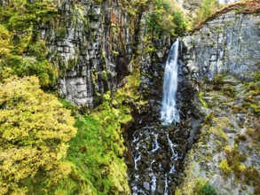 Autumn colours of Ffrwd Fawr Waterfall, Dylife, Llanbrynmair, Powys, Wales, UK