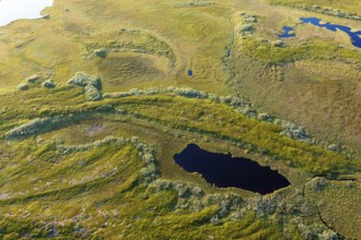 Aerial view of a small pond surrounded by green moor and thick vegetation, Varanger Fjord, Barents