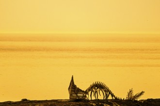 Drakkar Vardø sculpture. The Drakkar-Leviathan sculpture was built in summer 2016 by the Taibola