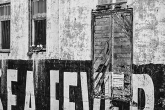 Dilapidated wall of a building with large lettering and seagulls, Vardø, Finnmark, Norway