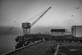 An old port crane at a foggy harbor area with seagulls, in a dramatic black and white image of an