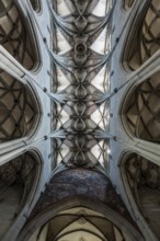 Cross-ribbed vaulting in the church of St. Nikolaus, Überlingen, Lake Constance, Baden-Württemberg,