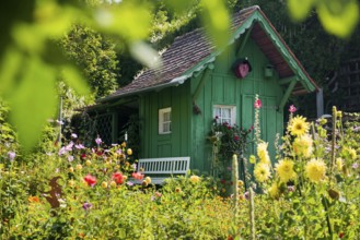 Green garden shed and summer flower garden, allotment garden, Meersburg, Lake Constance,