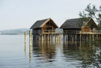 Stilt houses, Unteruhldingen stilt building museum, UNESCO cultural heritage, Uhldingen-Mühlhofen,