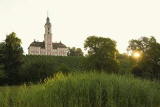 Birnau pilgrimage church and vineyards, sunrise, Uhldingen-Mühlhofen, Lake Constance,