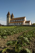 Collegiate Church of St. Peter and Paul and Gemüsefeld, Niederzell, UNESCO World Heritage Site,