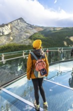 Tourist wearing yellow hat and backpack standing on the glass platform of the glacier skywalk