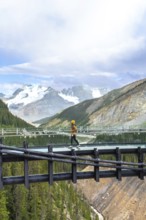 Tourist walking on a glass skywalk, taking in stunning views of the athabasca glacier and the