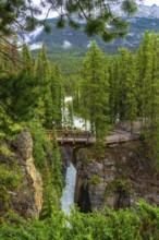 Tourists are enjoying the scenic view from a bridge overlooking the cascading waters of sunwapta