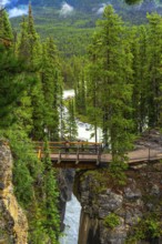 Tourist standing on a wooden footbridge, admiring the stunning sunwapta falls cascading through a
