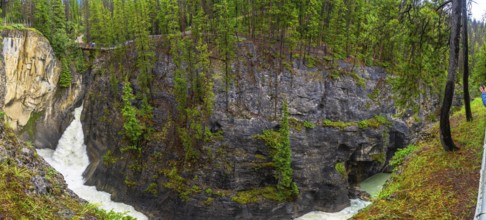 Panoramic view of sunwapta falls cascading through a narrow canyon surrounded by lush green forest
