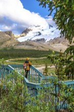 Tourist with backpack standing on wooden turquoise viewpoint is admiring stunning view of athabasca