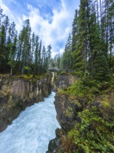 Raging turquoise water cascading through a narrow gorge at sunwapta falls in jasper national park,
