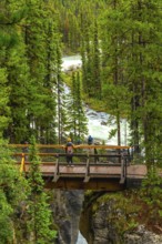 Tourists are enjoying the scenic view of sunwapta falls from a bridge, surrounded by lush green